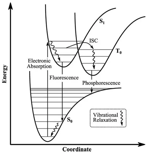 Figure 1.2 - Franck-Condon energy level diagram with Fluorescence and Phosphorescence
